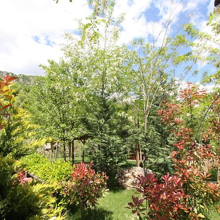 Lugina E Shengjergjit ,Bujtinat Villa Tirana Bagian luar foto