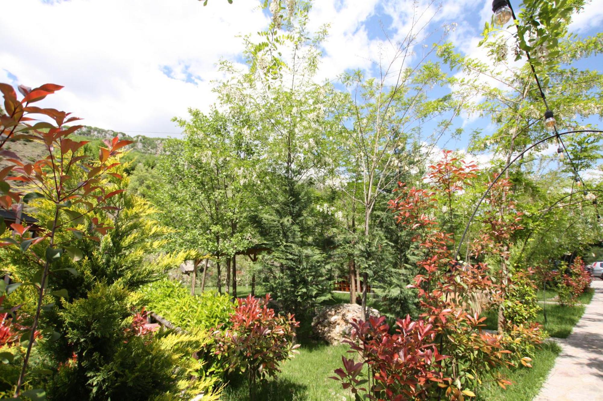 Lugina E Shengjergjit ,Bujtinat Villa Tirana Bagian luar foto