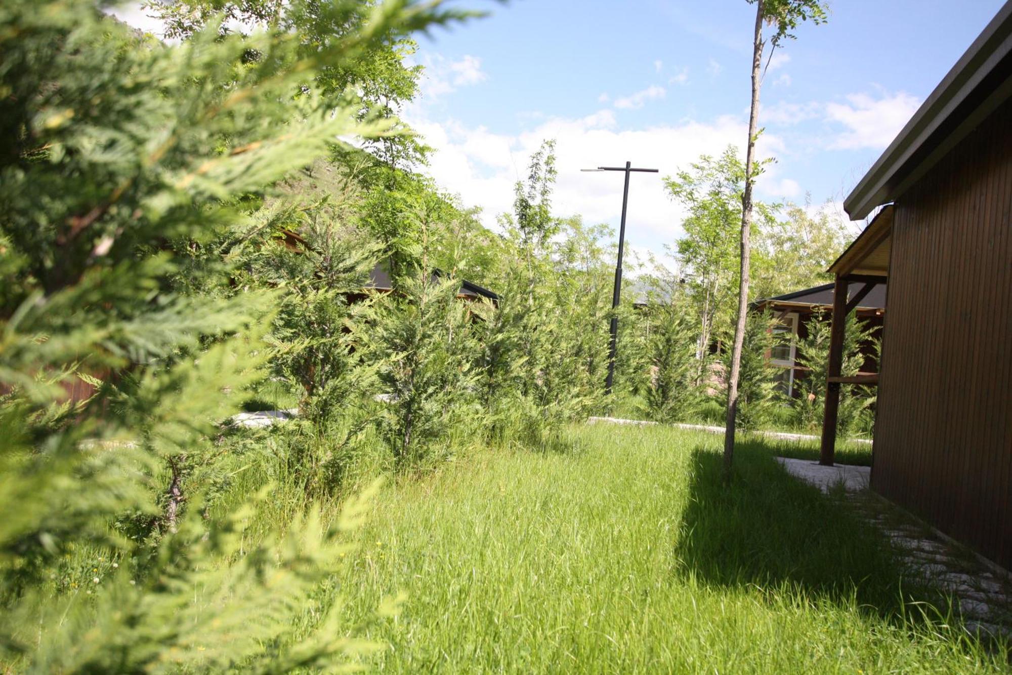 Lugina E Shengjergjit ,Bujtinat Villa Tirana Bagian luar foto